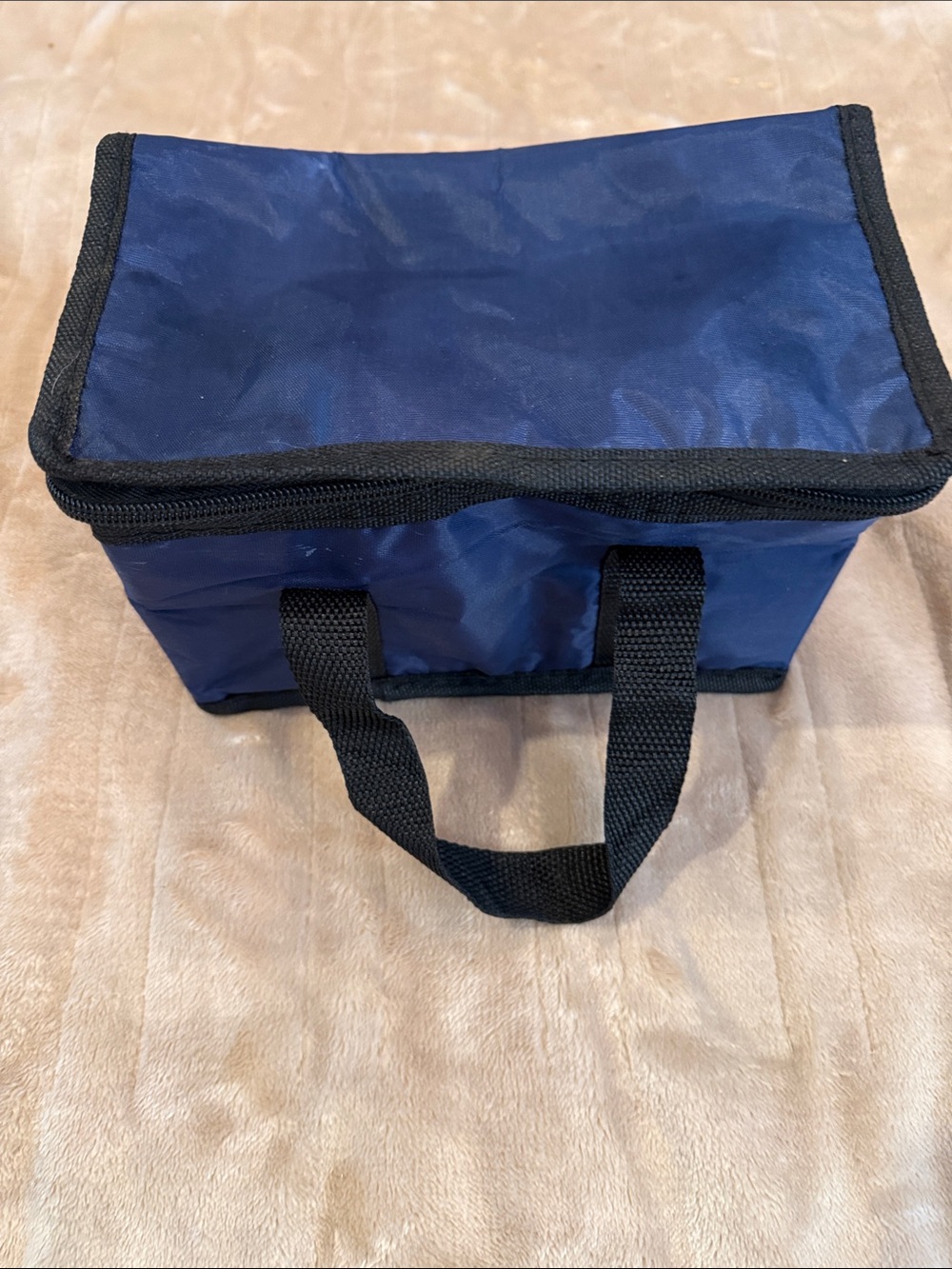 Blue Insulated Lunch Bag Cooler - Compact Carrying Tote